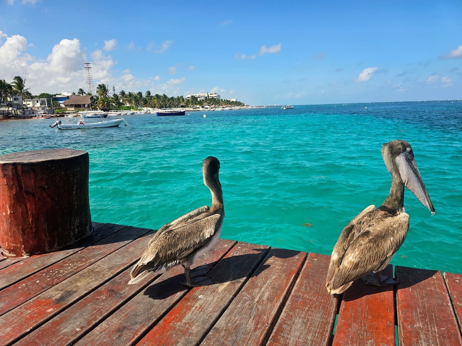 Puerto Morelos coastline